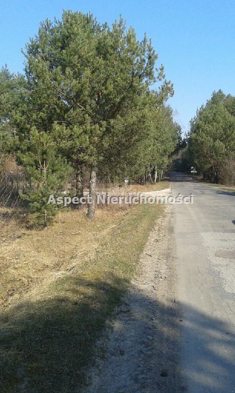 Działka inna na sprzedaż Sędeń Duży 2 600m2 Foto 4