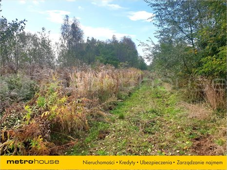 Działka inna na sprzedaż Piątkowisko, Pabianice 886m2 Foto 4