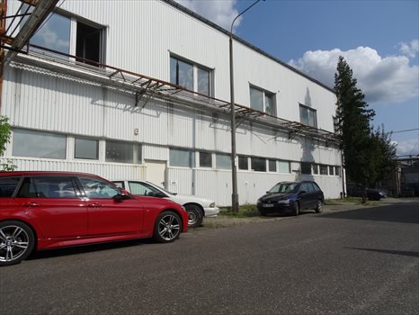 Lokal użytkowy na wynajem Piaseczno 350m2 Foto 7