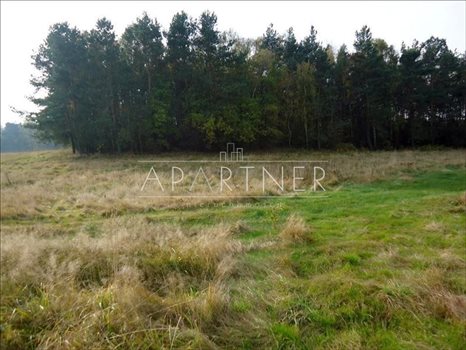 Działka budowlana na sprzedaż Łódź 10 976m2 Foto 4