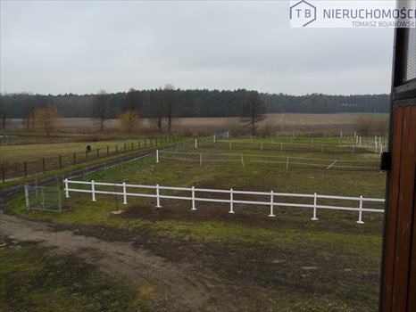 Dom na sprzedaż Szamotuły 1 500m2 Foto 11