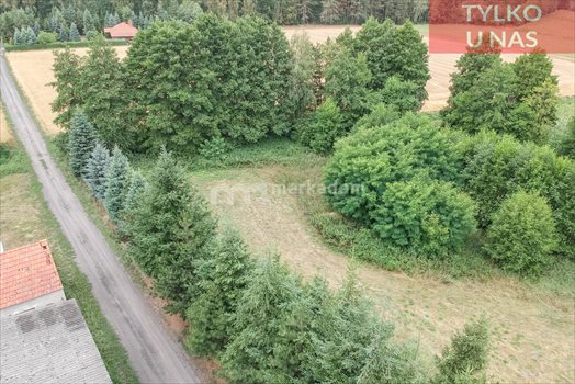Działka budowlana na sprzedaż Lubonieczek 8 577m2 Foto 4