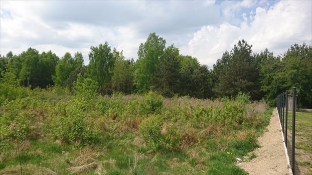 Działka budowlana na sprzedaż Stanisławów, Tartaczna 1 407m2 Foto 3