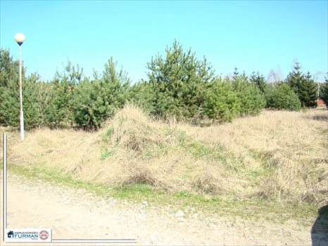 Działka budowlana na sprzedaż Laskowo 1 038m2 Foto 2