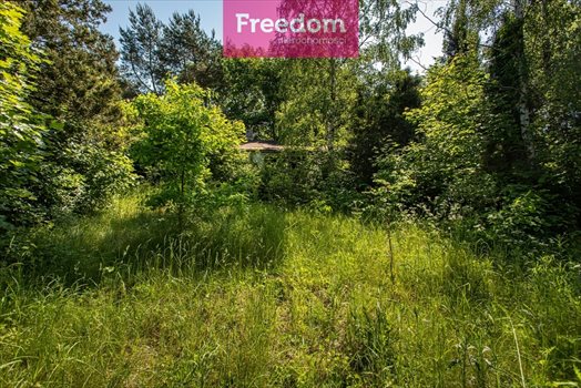 Działka siedliskowa na sprzedaż Graniczna Wieś, Jarzębinowa 6 000m2 Foto 10