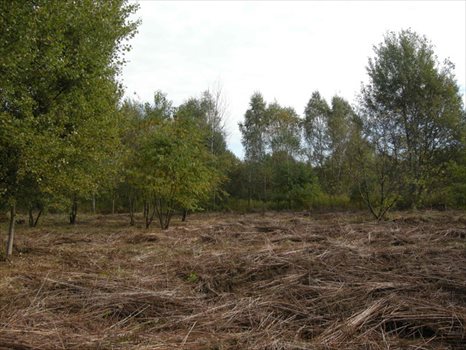 Działka budowlana na sprzedaż Otwock, Jabłonna, Niezapominajki 857m2 Foto 8
