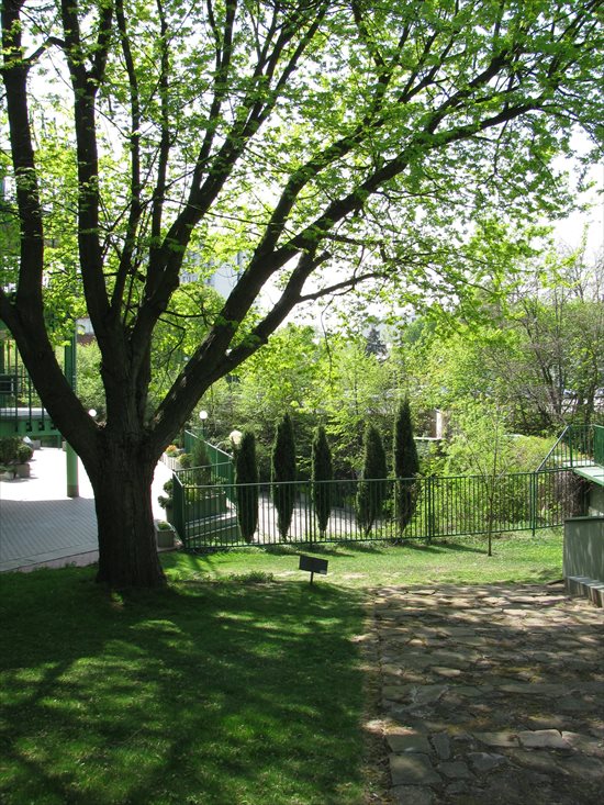 Lokal użytkowy na sprzedaż Warszawa, Mokotów, Bielawska 6 70m2 Foto 3