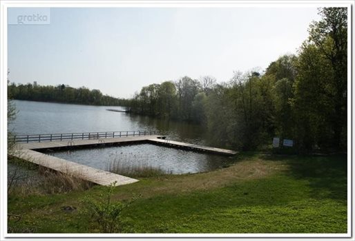 Dom na sprzedaż Żywki 350m2 Foto 8