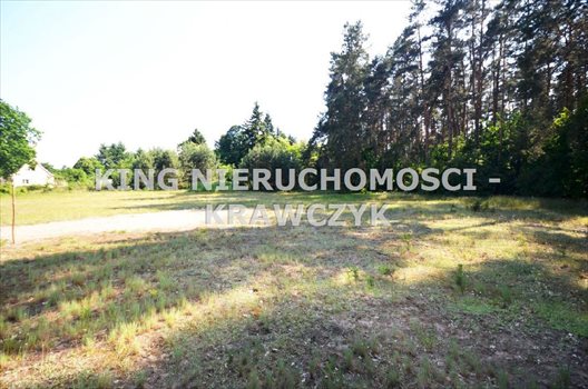Działka inna na sprzedaż Szczecin, Jezierzyce 1 464m2 Foto 1