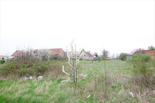 Działka budowlana na sprzedaż Rogów Sobócki 2 902m2 Foto 10