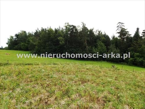 Działka budowlana na sprzedaż Mszana Dolna 7 500m2 Foto 3