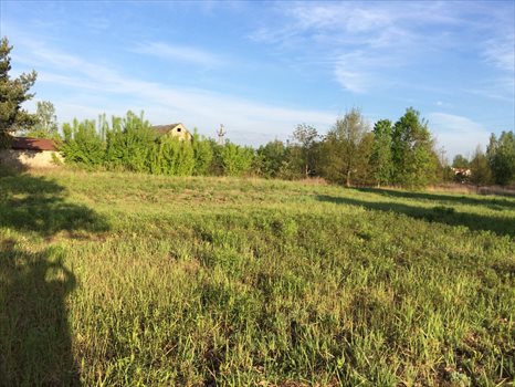 Działka budowlana na sprzedaż Klaudyn 1 196m2 Foto 3