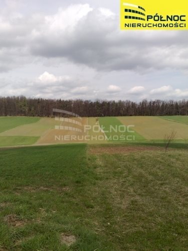 Dom na sprzedaż Miechówka 129m2 Foto 11