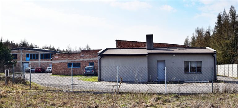 Lokal użytkowy na sprzedaż Częstochowa, Grabówka, Św. Rocha 249 1 700m2 Foto 12
