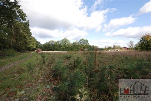 Działka budowlana na sprzedaż Radecz 1 000m2 Foto 5