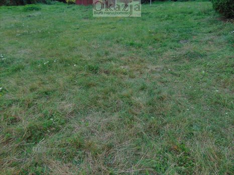 Działka budowlana na sprzedaż Mysłowice, Morgi 745m2 Foto 4