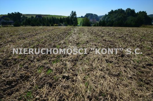 Działka budowlana na sprzedaż Michałowice, Dąbrowskich 1 200m2 Foto 1