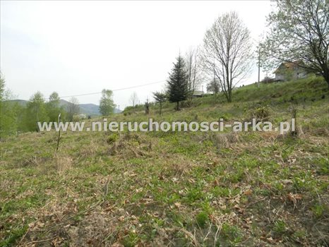 Działka budowlana na sprzedaż Limanowa 3 676m2 Foto 4
