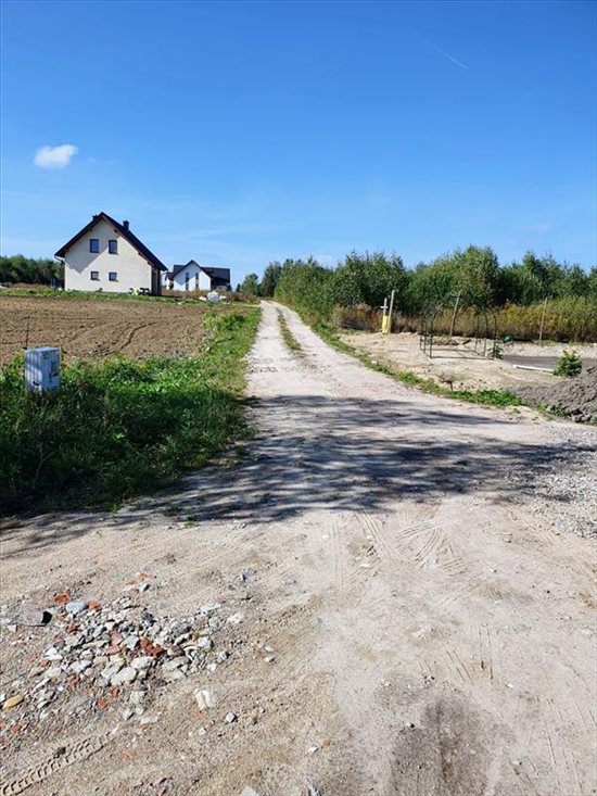 Działka budowlana na sprzedaż Bielkówko, Las 3 003m2 Foto 4