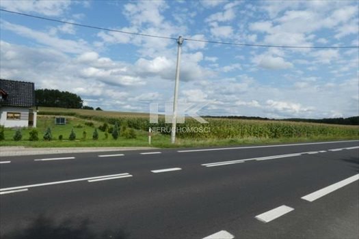 Działka budowlana na sprzedaż Wyręba 26 700m2 Foto 5