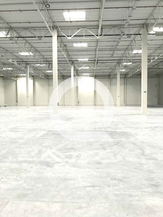 Lokal użytkowy na wynajem Elbląg 2 500m2 Foto 5