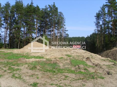 Działka budowlana na sprzedaż Sitno 3 005m2 Foto 9
