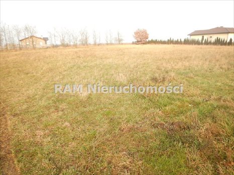 Dom na sprzedaż Tylewice 300m2 Foto 8
