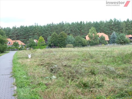 Działka budowlana na sprzedaż Wołczkowo 3 001m2 Foto 13