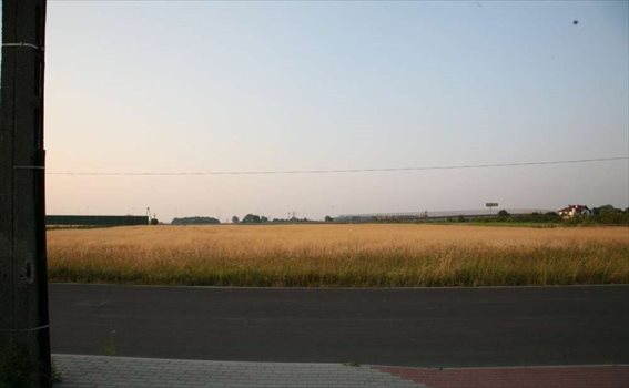 Działka rolna na sprzedaż Łódź, Górna, Ksawerowska 26 500m2 Foto 3