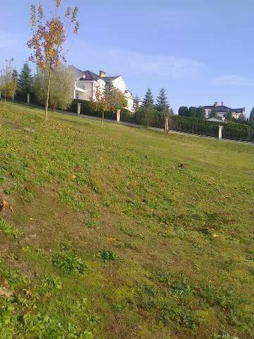 Działka budowlana na sprzedaż Płock, Norbertańska 1 505m2 Foto 8
