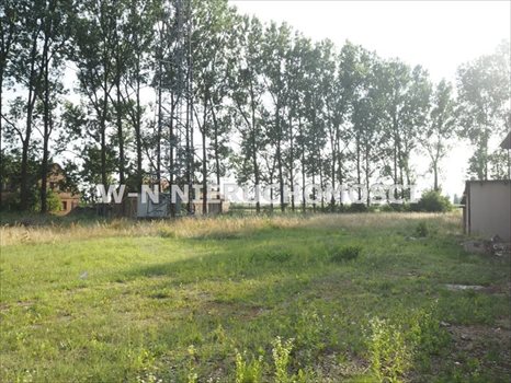 Lokal użytkowy na sprzedaż Łysiny 3 883m2 Foto 3