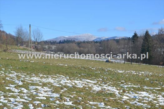 Działka budowlana na sprzedaż Wilczyce 2 300m2 Foto 2