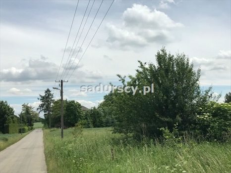 Działka inna na sprzedaż Januszowice 7 200m2 Foto 2