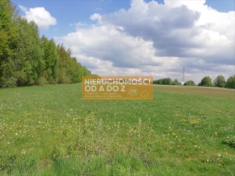 Działka siedliskowa na sprzedaż Bocian 10 000m2 Foto 5