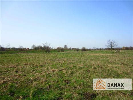 Działka budowlana na sprzedaż Kraków, Nowa Huta, Igołomska 8 500m2 Foto 2