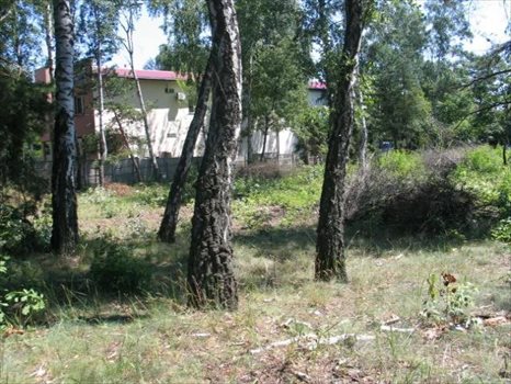 Działka inna na sprzedaż Józefów, Józefów, Wiązowska 2 701m2 Foto 3