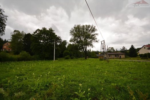 Działka budowlana na sprzedaż Przybówka 4 300m2 Foto 1