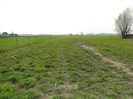 Działka budowlana na sprzedaż Gorzów Wielkopolski, Siedlice 1 000m2 Foto 2