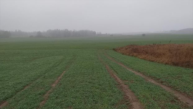 Działka gospodarstwo rolne na sprzedaż Ełk 7 000 000m2 Foto 6