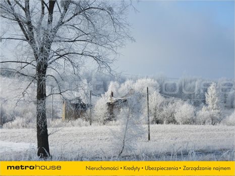 Działka rolna na sprzedaż Łomy, Jonkowo 5 500m2 Foto 5