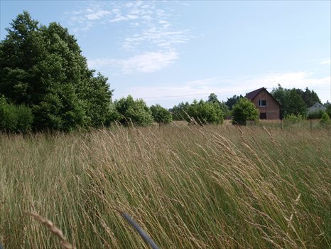 Działka budowlana na sprzedaż Odargowo, ul. Morska 1 532m2 Foto 4