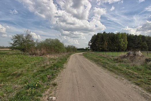 Działka rolna na sprzedaż Kołczewo 22 223m2 Foto 2