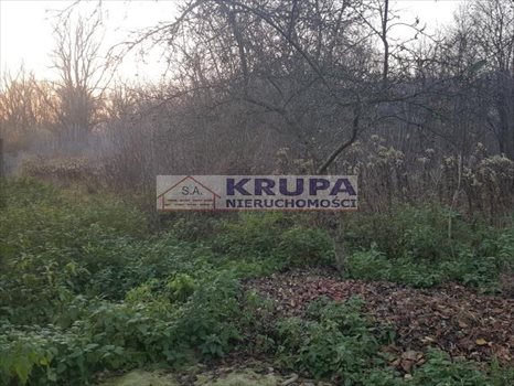 Działka budowlana na sprzedaż Warszawa, Wawer, Ogórkowa 3 200m2 Foto 2