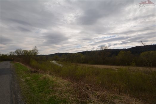 Działka rekreacyjna na sprzedaż Nowosiółki Dydyńskie 2 100m2 Foto 4