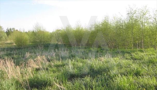 Działka budowlana na sprzedaż Małkowo, Znana 1 192m2 Foto 6