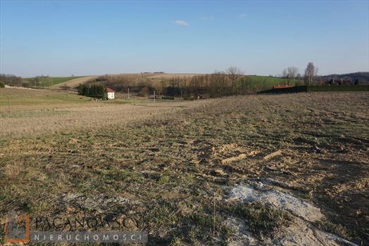 Działka budowlana na sprzedaż Młodziejowice 1 200m2 Foto 4