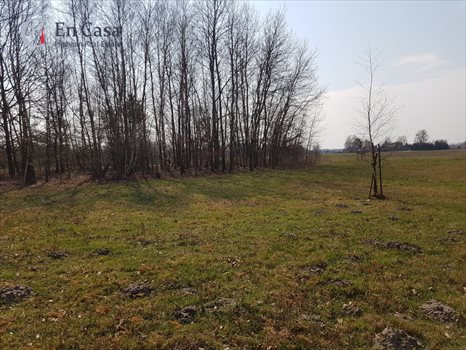 Działka budowlana na sprzedaż Książenice 2 307m2 Foto 5
