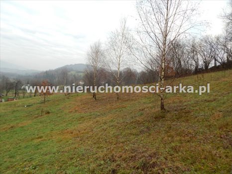Działka budowlana na sprzedaż Mszana Dolna 1 500m2 Foto 2