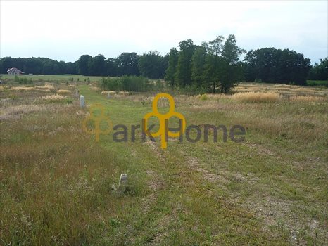 Dom na sprzedaż Osieczna 126m2 Foto 4