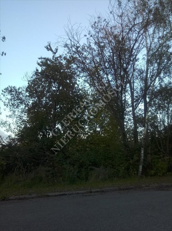 Działka inna na sprzedaż Zabrze, Zaborze 4 900m2 Foto 2